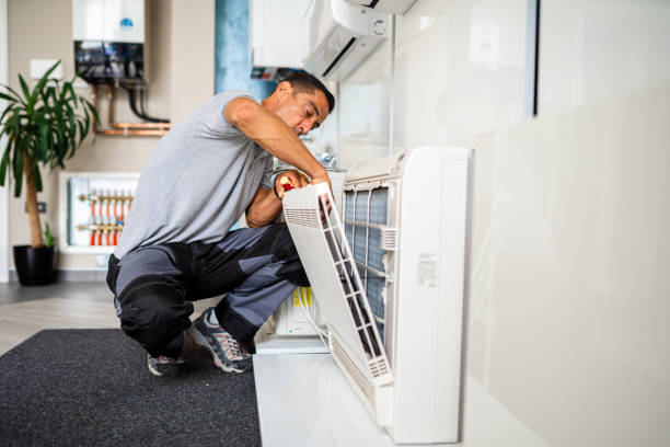 Best Air Vent Cleaning Services  in Northview, MI
