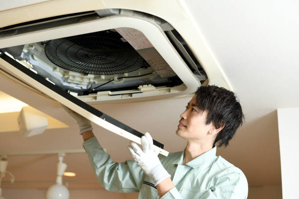 Best Duct Cleaning for Homes  in Northview, MI