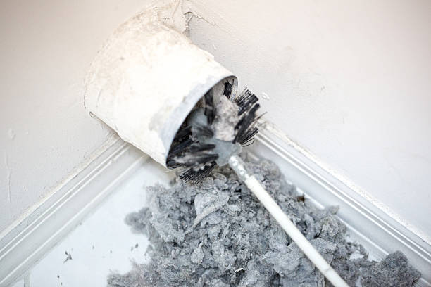 Best Affordable Air Duct Cleaning  in Northview, MI