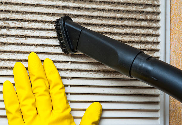 Best HVAC Maintenance and Cleaning  in Northview, MI